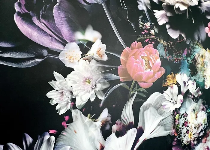 Angelique - Apartment *